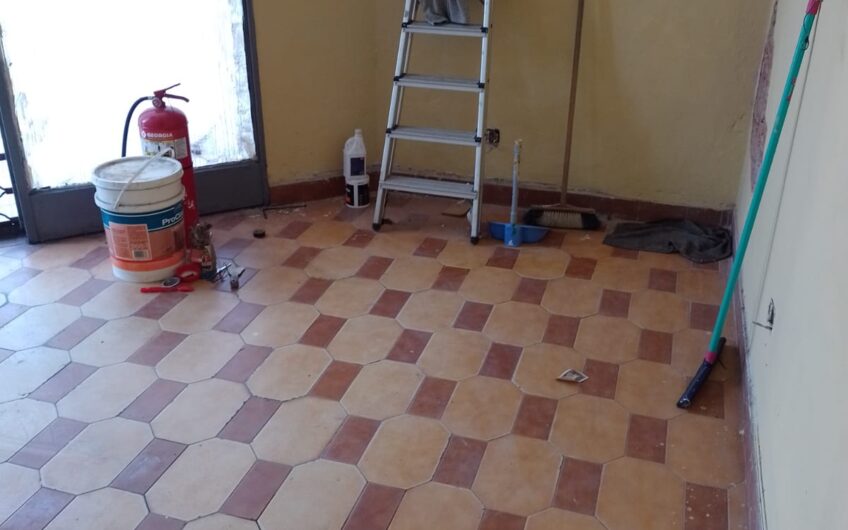 VENTA LOCAL EN HAEDO