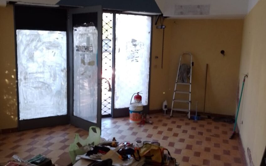 VENTA LOCAL EN HAEDO