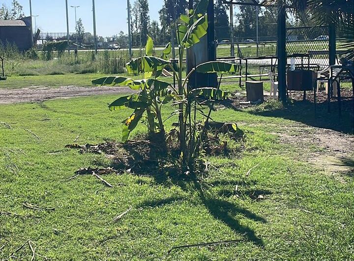 ALQUILER LOTES EN GENERAL RODRIGUEZ